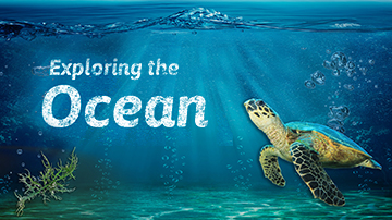 Sous le modèle de présentation de la mer